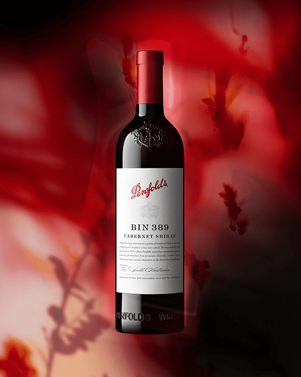 Penfolds Bin 389